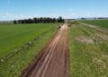 Extranjerización rural: la Justicia preservará datos sobre tierras en PBA