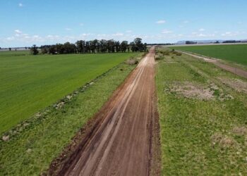 Extranjerización rural: la Justicia preservará datos sobre tierras en PBA