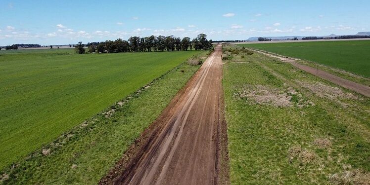 Extranjerización rural: la Justicia preservará datos sobre tierras en PBA