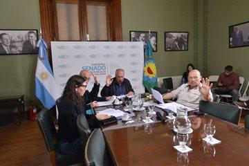 Comisión de Salud del Senado bonaerense (Foto: Prensa Senado)